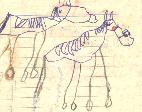 Caballos