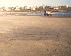 Playa norte