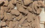 R�plicas de Lobos