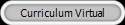 Curriculum Virtual