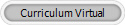 Curriculum Virtual