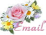 WILLOPAL