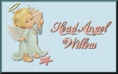 Head Angel Willow - WOSIB