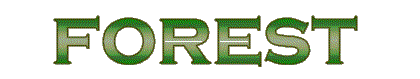 Forest Greens