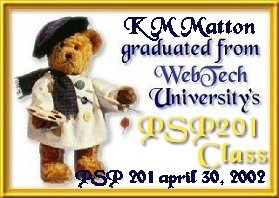 PSP 201 Diploma