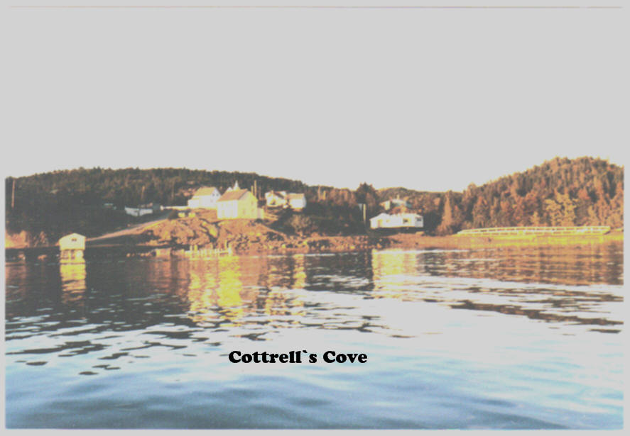Cottrell`s Cove Pictures