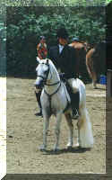 martyundersaddle.jpg (28268 bytes)