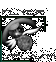 Click to enter...