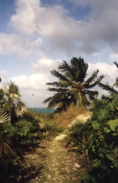 D�nen