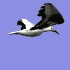 freedom!!!!!!!!!!!!!!!!!!!!!!!!!!!!!!