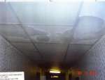 Toronto slum landlord pictures
