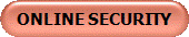 ONLINE SECURITY