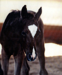 Starr when she was a baby