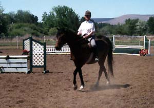 Cassia and Donna at a local schooling show