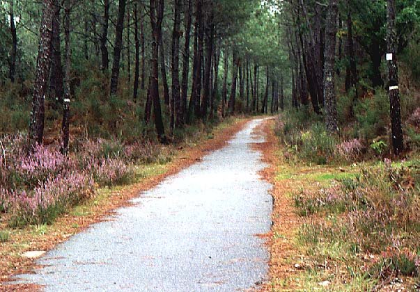 bicycle path