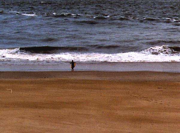 surfer