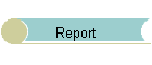 Report