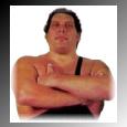 andre00.jpg (3273 bytes)