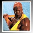 hogan00.jpg (4201 bytes)