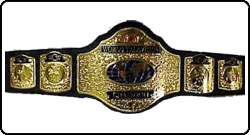 wcw_tv.gif (17143 bytes)