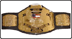 wcw_us.gif (20744 bytes)