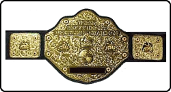 wcw_world.gif (19878 bytes)
