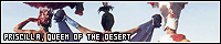 PRISCILLA -- Adventures of Priscilla, Queen of the Desert