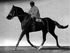 Ajax