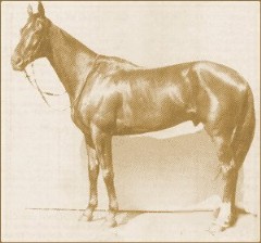 Phar Lap