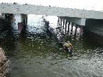 Bridge Picture #3