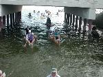 Bridge Picture #21