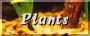 The Plants Area
