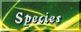 Species Profiles