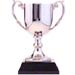 Picture of Trophy