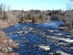 Class II Rapids