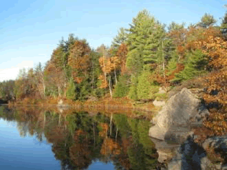 peaceful river