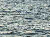 Ocean