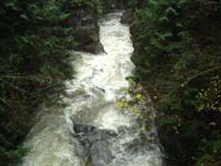 Golden Ears