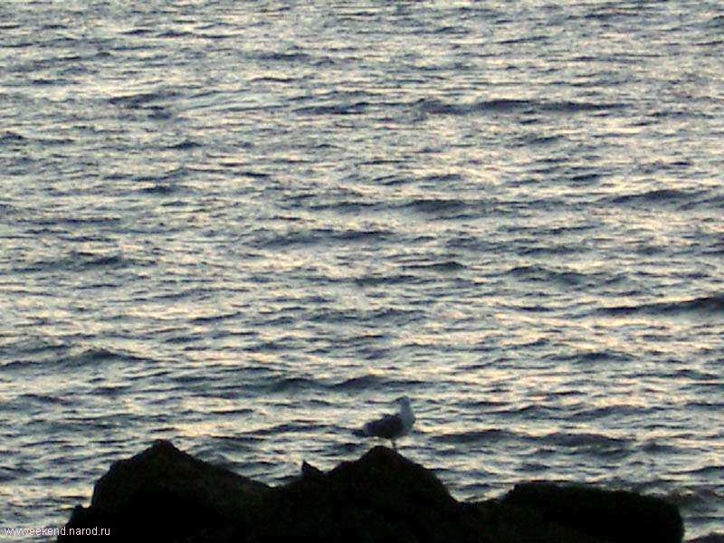 Ocean