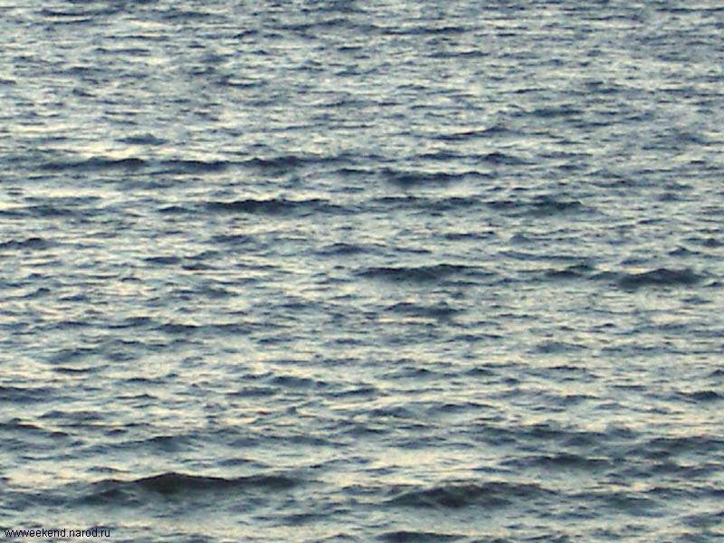 Ocean