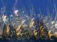 Abstract picture