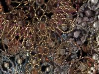 Beadwork