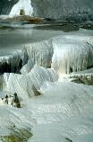 Ice caps in the polar region