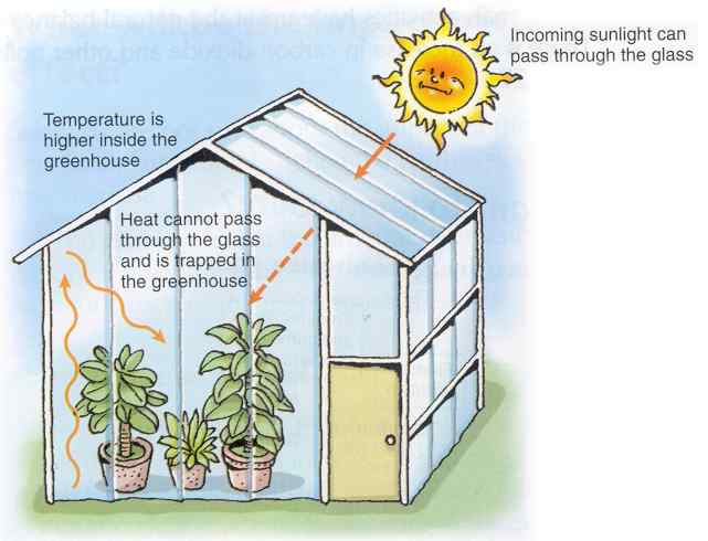 Work of a greenhouse
