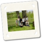 NewHarmony036.jpg