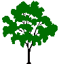 Arbre