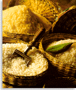 Arroz