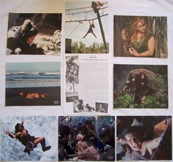 photos