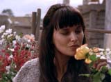 Xena