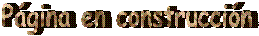 P�gina en construcci�n
